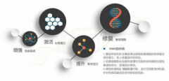 日本首款完成备案的NMN面膜，开启面膜基因抗老逆龄！
